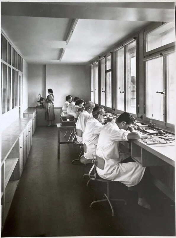 Workers in the Benedict Watch Factory, circa 1950s